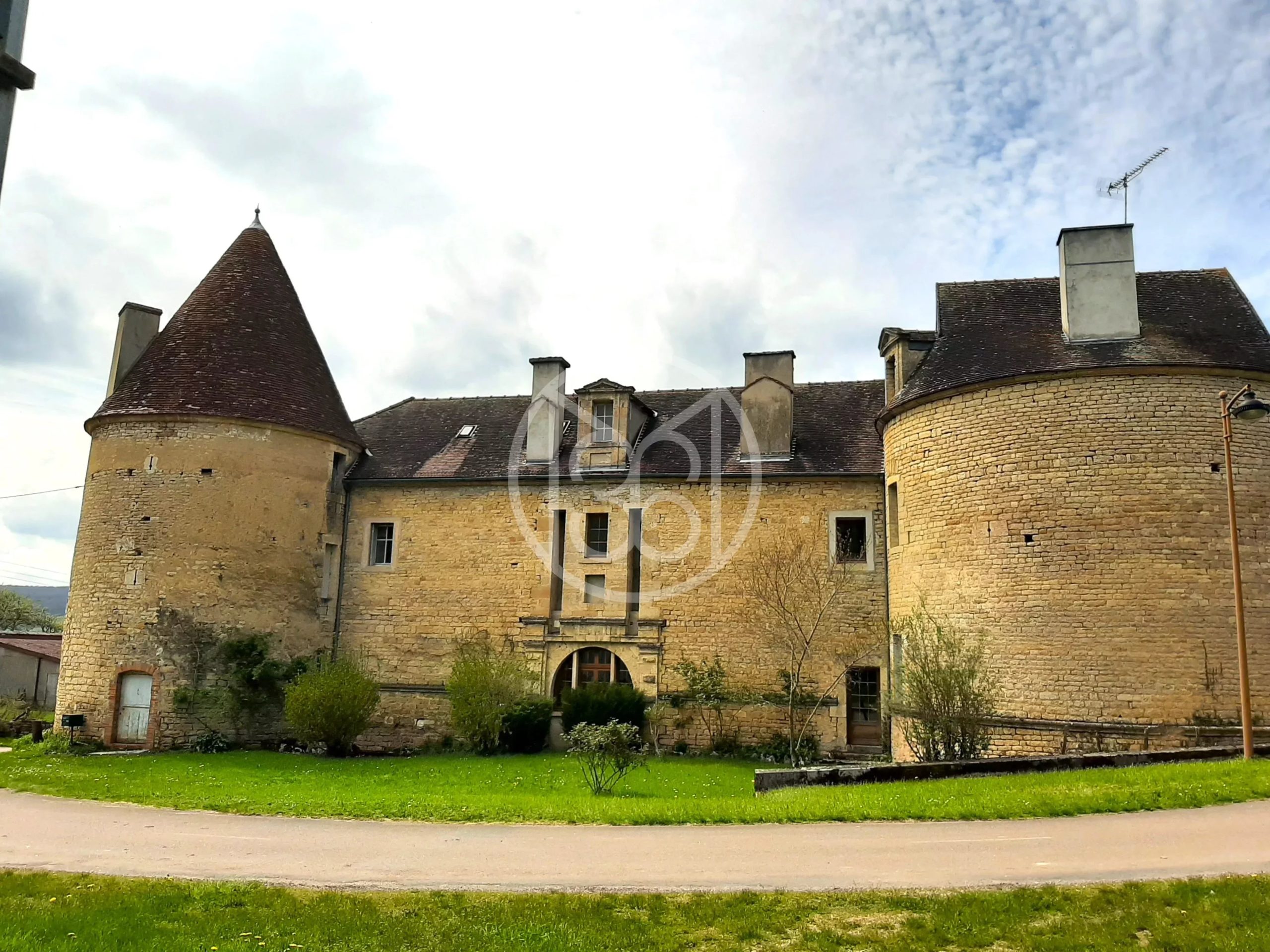 Vente Château Flavigny sur Ozerain 21 10 pièces Mercure Forbes