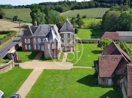 LE PERCHE – CHÂTEAU DU XIXe – DEPENDANCES – PARC 2HA – PISCINE - 19932NO