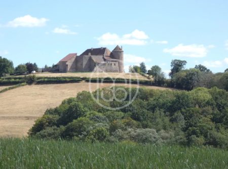 MEDIEVAL AND RENAISSANCE LISTED CASTLE MH ON ABOUT 3,4 HECTARES - 1562VA