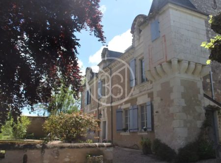 Charming manor house near sainte maure de Touraine - 20782CL
