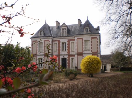 CHATEAU XIXe – VIAGER OCCUPÉ - 9409PO