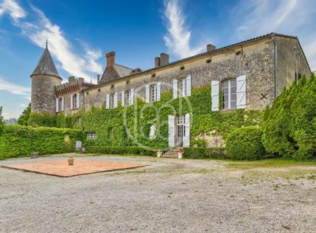 South of France, furnished chateau on 9 ha - 9016TS