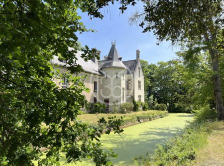 Near Saumur – charming chateau - 2337PL
