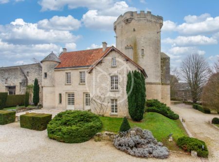 AISNE – CHATEAU ET DEPENDANCES AVEC COUR, JARDIN ET HERBAGES - 80583PI