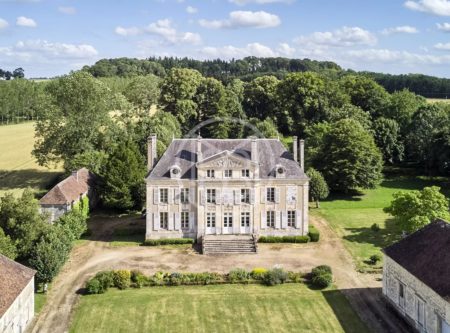 In the heart of the Perche – listed chateau - 20863NO