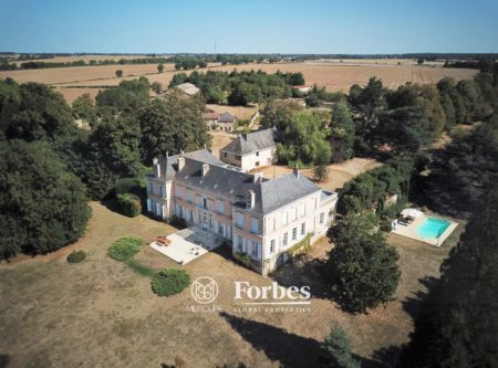 CHATEAU XIXe ET SES DEPENDANCES, PISCINE, SUR 9HA60 EN VIENNE - 14529vm