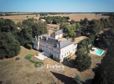 19TH C. CHATEAU WITH OUTBUILDINGS AND POOL IN VIENNE - 14529vm