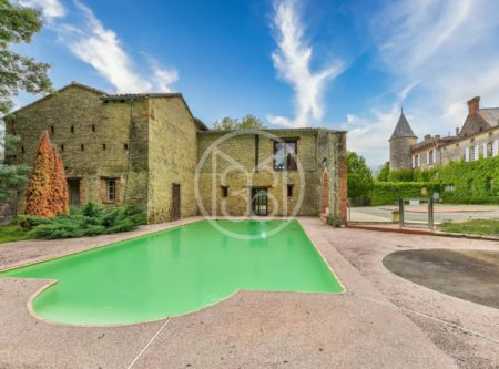 CHATEAU MEUBLE SUR 9HA – ORANGERIE – GITES - 9016TS