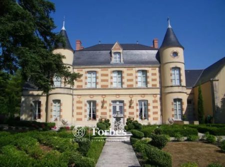 RENOVATED CHATEAU WITH SWIMMING POOL AND FRENCH GARDEN NEAR POITIERS - 14348vm