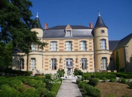 CHATEAU RENOVÉ AVEC PISCINE ET JARDIN A LA FRANCAISE PROCHE POITIERS - 14348vm