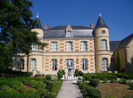 RENOVATED CHATEAU WITH SWIMMING POOL AND FRENCH GARDEN NEAR POITIERS - 14348vm