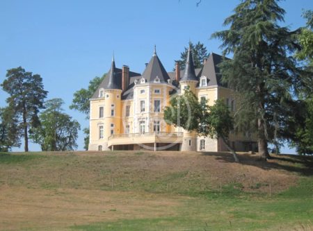 East of France – fully renovated 19th century chateau - 1503EL