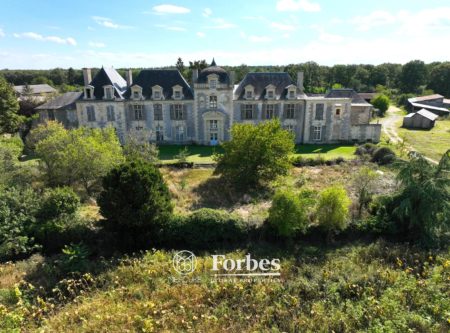 CHATEAU FIN RENAISSANCE sur 26 HA - 9778PO