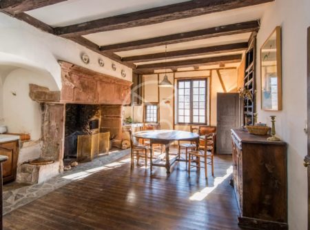 MEDIEVAL HOUSE IN AN STUNNING VILLAGE - 9063TS