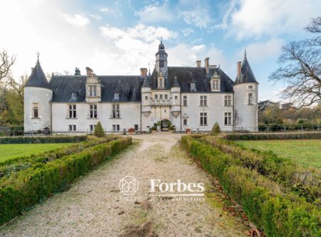 CHATEAU ET NOMBREUSES DEPENDANCES DANS UN PARC DE 24 HECTARES - 20602CL