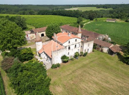 CHATEAU ET DEPENDANCES SUR 150 HECTARES - 900990bx