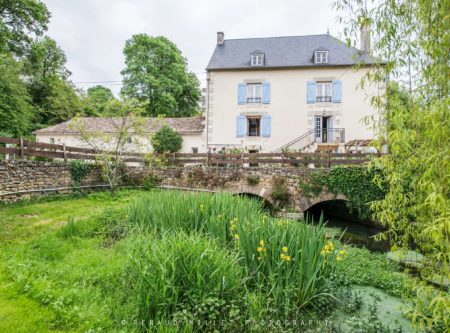 Very beautiful mill in a green setting - 23111