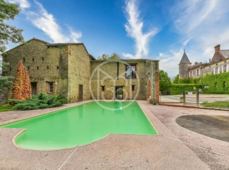 South of France, furnished chateau on 9 ha - 9016TS