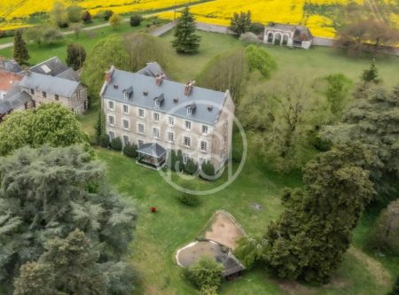 15KM FROM BLOIS – CHATEAU 18-19TH – 750 M² – PARK 3.5 HA - 20392CL