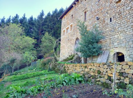 Ancienne maison forte du XIVème siècle - 4850 LY