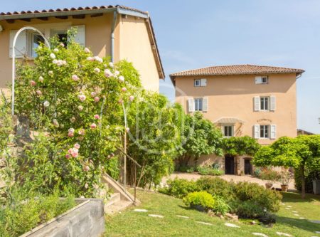 Ancienne maison vigneronne avec dépendances + chambre d’hôte - 4825LY