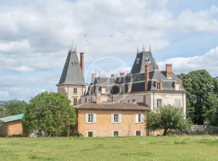 CHATEAU au cœur du Beaujolais – Exceptionnelle propriété du XIXème siècle - RE4788LY