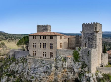 HERAULT 40 MINUTES NORTH OF MONTPELLIER CHATEAU DE BRISSAC ORIGIN 12th century AND ITS OUTBUILDINGS - 20651LR