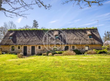 Rieuc-sur-Belon – lovely set of 3 thatched cottages - 20740BR