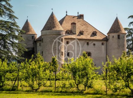 Haute-Savoie, rare 15th century chateau - 4750LY