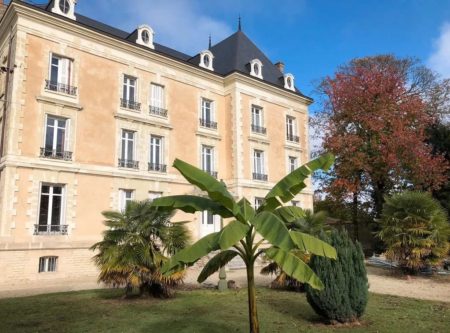 19th C. LOGIS WITH GUEST HOUSE AND 18th C. OUTBUILDINGS - 14189vm