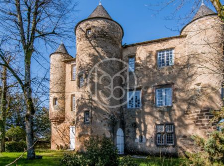 BEAUTIFUL LISTED 15TH-C CHATEAU - 8958TS