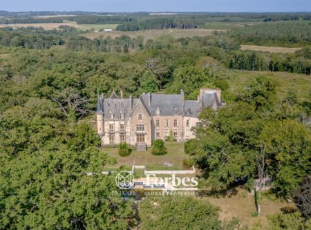 IMPOSING NEOGOTHIC CHATEAU – 1173m² – 30 ROOMS - 20912CL