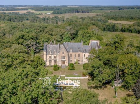 IMPOSING NEOGOTHIC CHATEAU – 1173m² – 30 ROOMS - 20912CL