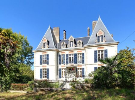 SPACIEUX CHATEAU NAPOLEON III  SUR PARC ARBORE - 900906bx