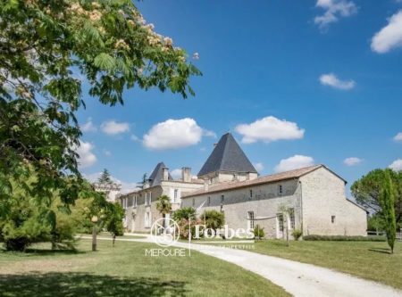 17th C. CHATEAU WITH OUTBUILDINGS AND PARK - 9845PO