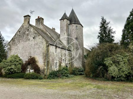 Falaise – old manor house 16th century - 20643NO