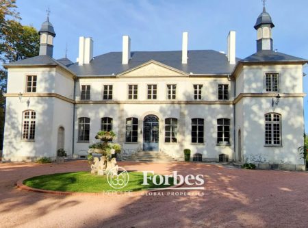 ALLIER, VICHY – CHATEAU XVIIIème ENTIEREMENT RENOVE AVEC DEPENDANCES ET PARC DE 6.5HA - 20561AU