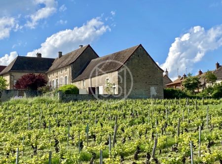 Former 17th-century wine-growing property with vines overlooking the Côte Chalonnaise - 1741VA