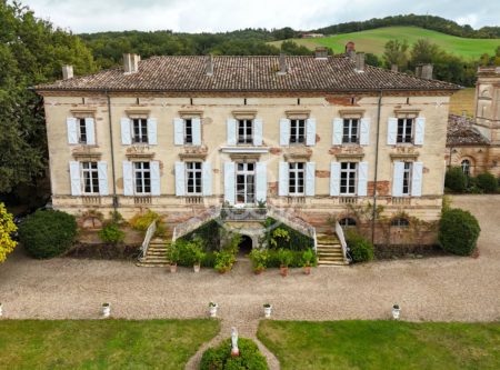 MAGNIFIQUE CHATEAU DANS LE NORD TOULOUSAIN - 9056TS