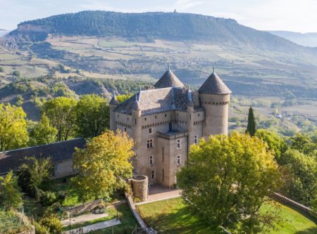 14TH CENTURY CASTLE AND ITS OLD ADJOINING FARM - 8702TS