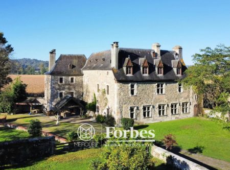 ELEGANT CHATEAU MEDIEVAL XIIEME DE 523 M2 SUR PARC A L’ANGLAISE DE 2.5 HA - 901019bx