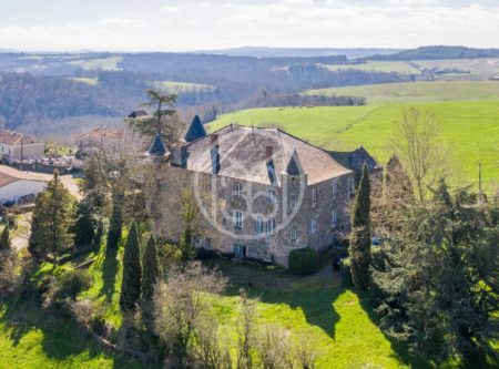 BEAUTIFUL LISTED 15TH-C CHATEAU - 8958TS