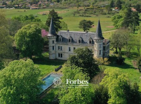 CHATEAU SUR 5 HA – A 20 MIN DE BORDEAUX CENTRE - 900738bx