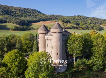 CHATEAU DU XIVEME – PISCINE ET TENNIS - 9088TS