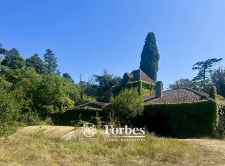 PROPERTY WITH OUTBUILDINGS AND A PARK - 9084TS