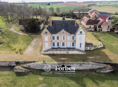 Château du XVIIIe siècle à restaurer, nombreux communs du XVIIème, parc de 8 hectares avec étang. Vue imprenable. - 1680MAC