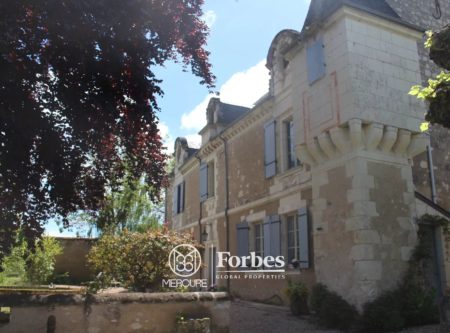 Charming manor house near sainte maure de Touraine - 20782CL