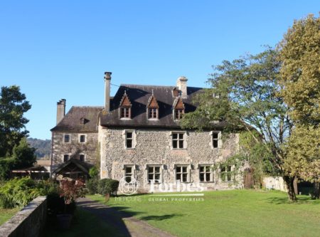 ELEGANT CHATEAU MEDIEVAL XIIEME DE 523 m2 SUR PARC A L’ANGLAISE DE 2.5 Ha - 901020bx