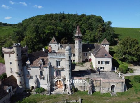 4 gites et propriété haut de gamme avec vue panoramique sur les vignes - 1742VA