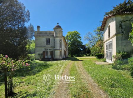 CHATEAU A RENOVER – RIVE DROITE - 900965bx